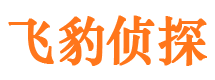 大邑市私人侦探